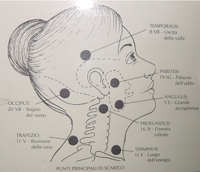 Softly massage the lymphatic glands